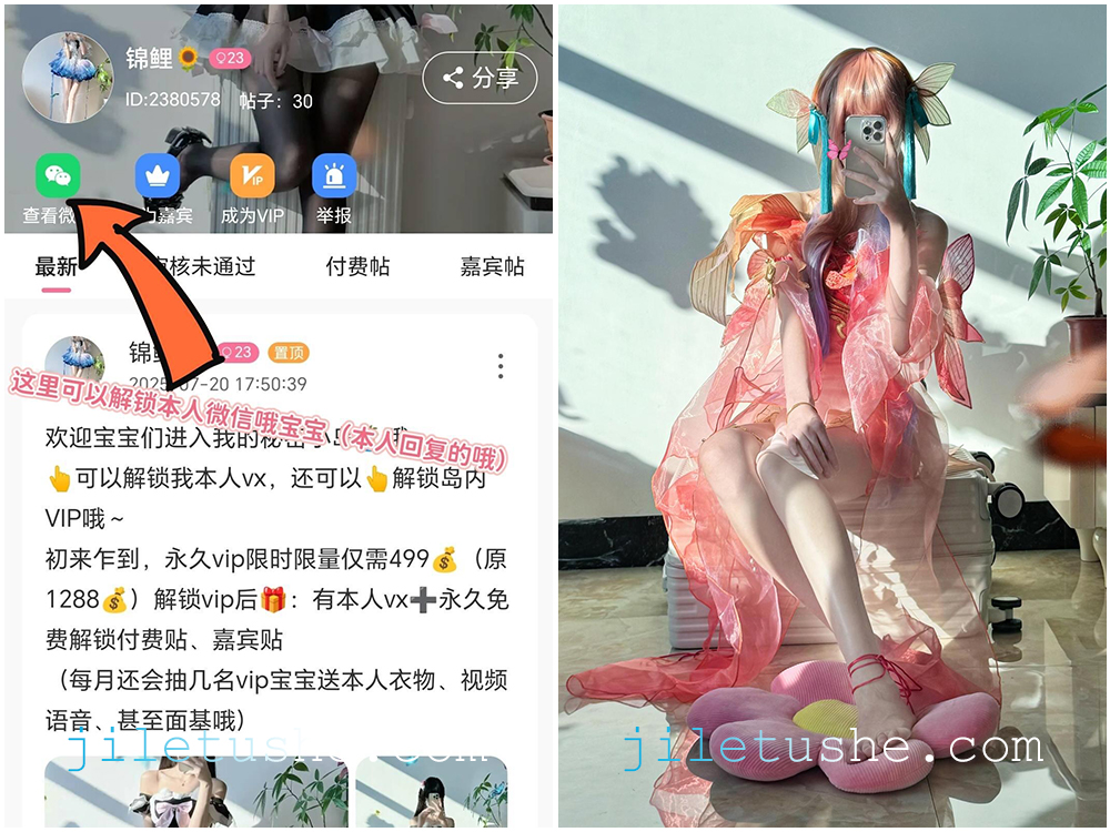 【岛遇】“锦鲤”合集 [70P-21V-68M]-极乐图社