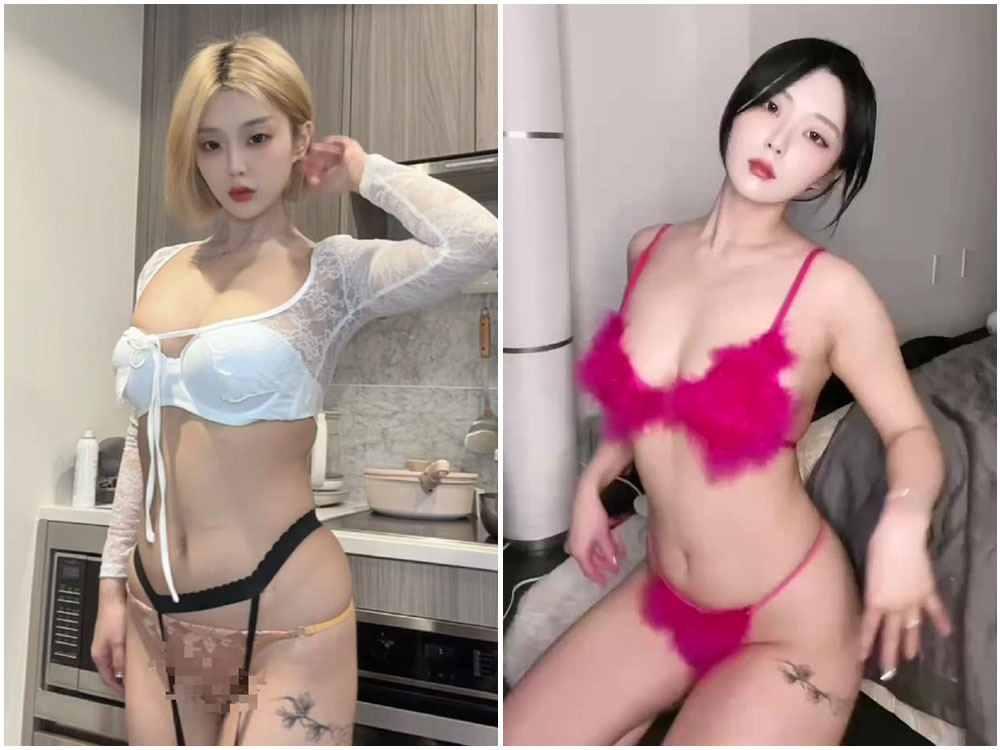 多肉小野猫主题造型精选写真全景展示